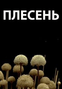 Плесень — Plesen&#039; (2009)